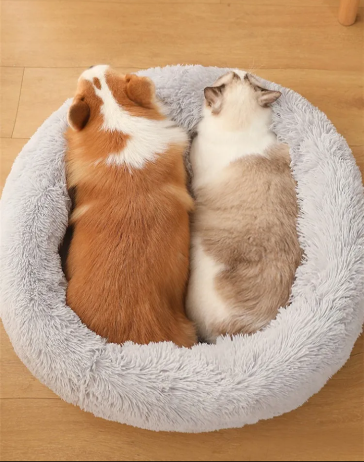 Cama Moisés Nido antiestres para mascotas Perros y gatos