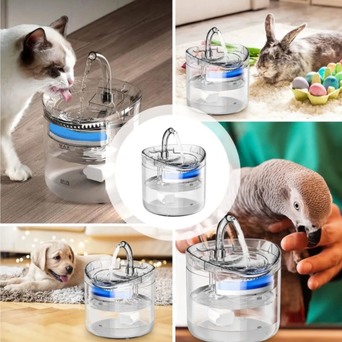 Bebedero C/Fuente Purificadora para Mascotas